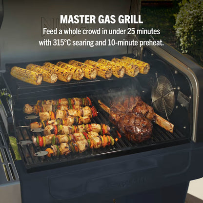 Ninja FlexFlame Gas BBQ & Outdoor Cooking System